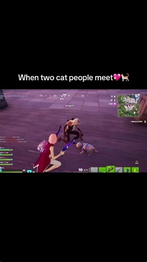 Showing off our cats with a random fill 😂💖 #fortnite #fortniteclips #fortnitegirlies #fortnitecats #fortnitesidekick
