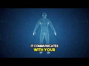 What Is Bio-Energetic Testing? | How It Helps Restore Balance & Wellness Naturally