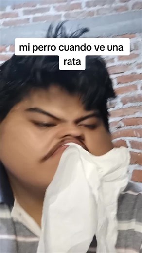 La Rata Voladora - ¿Qué Es Eso?