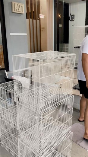 finch jogja on Instagram: "Stacking the new breeding cages today. Getting everything ready for a cleaner and more organized setup. Step by step we build a better space for the birds. #BirdAviary #BreedingSetup #FinchBreeding #SmallBirds #HighCPMVideo"
