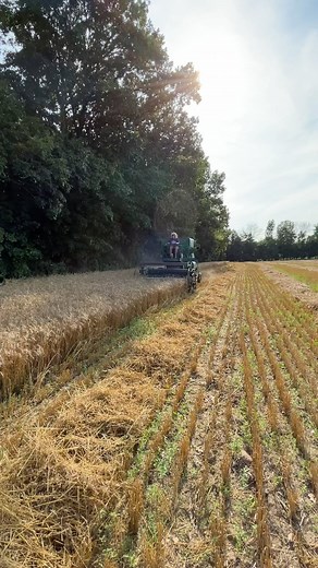 Tom Corcoran on Instagram: "John Deere 40 combine getting it done! 63 years old and still working great! #oldschool #johndeere40combine #greatdaytofeedtheworld #instagramreels"