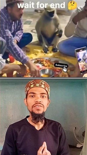 मस्जिद में इफ्तार करने पहुचा लंगूर बंदर 🤲🥹♥️ #youtubeshorts #shortsfeed #shorts