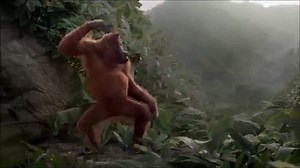 Funny Monkey Happy Birthday Song