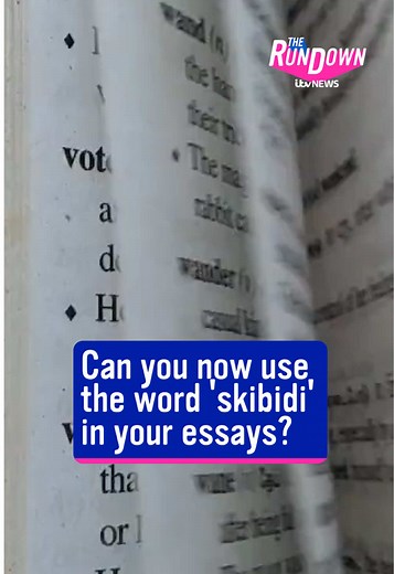 The Cambridge Dictionary has added 6,000 words, including ‘skibidi’, ‘delulu’ and ‘tradwife’ #itvnews #therundown #dictionary