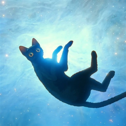 5.8K reactions · 376 shares | How it feels to pick up a copy of Flow on Blu-ray. | Madman Films | Facebook