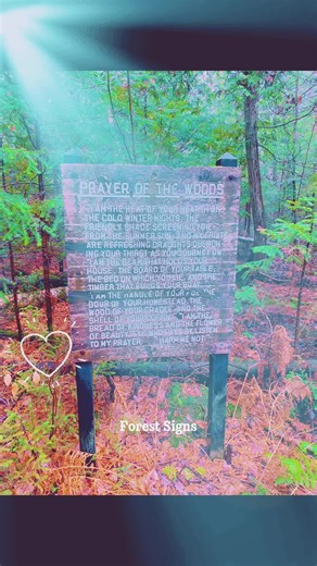 Prayer of the woods! #michigangirl♡ #upperpeninsulamichigan #thosewhowonderarenotlost ##nature