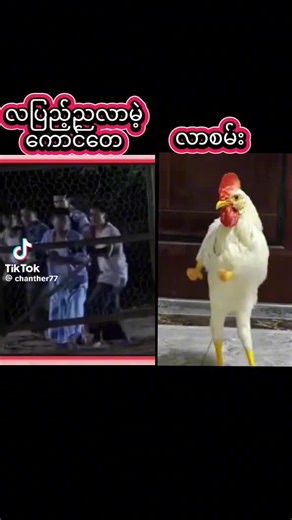 original sound - Defeat ပါဝင်သည့် Defeat (@defeat8636) ၏ ဗီဒီယိုများ