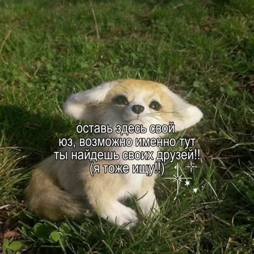 Как найти друзей в интернете и в своем городе