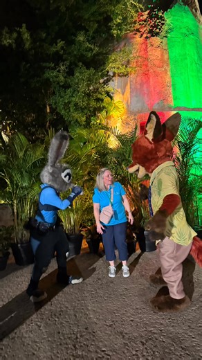 1.2K views · 11 reactions | What a spectacular day we had yesterday,...