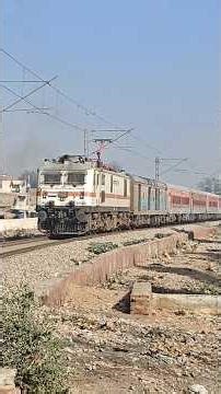 Train 14707 HMH DDR Ranakpur Express arriving at Bikaner