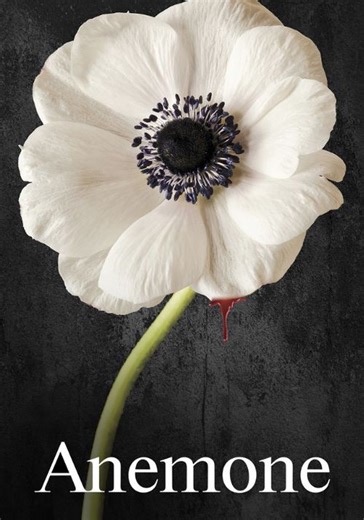 Anemone streaming: where to watch movie online?