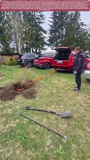 Seil, Gas, Wurzel: Ein Auto zieht dem Gras den Stecker