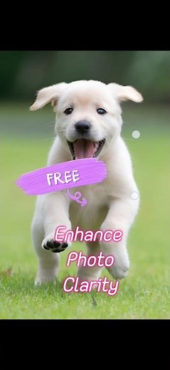 Enhance photo quality for FREE. Remove blur, make photos clearer. FREE AI tool to enhance image
