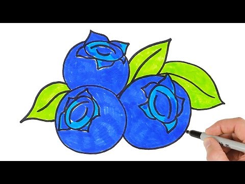 How to Draw Blueberry | Easy Drawing Tutorial