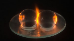 Something Awesome Happens When You Put Grapes In A Microwave, And Now We Finally Know Why