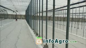 Solarización del suelo. Desinfectar la tierra para cultivar