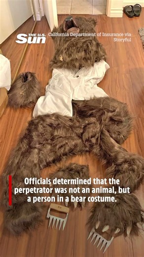 Three arrested in a bear costume insurance fraud scheme