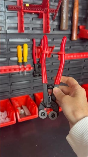 The Upgrade my Shop desperately NEEDED! Vevor Wall Organizer is an affordable solution #diy #tools