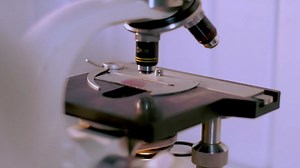 Blood Check, Blood Test, Virus Check. Free Stock Video