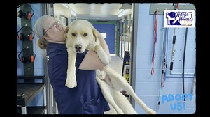 14K views · 681 reactions | HCDW'S WEEKLY WALK THROUGH! 2023...