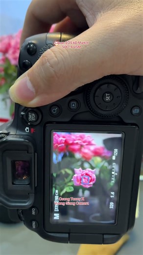 Combo Canon EOS 6D Mark II #cuongtonny #vuonggiangcamera