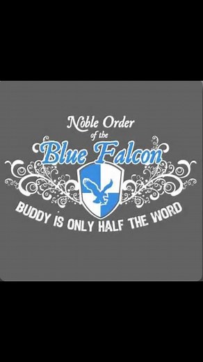 Don’t be a Blue Falcon!!! #blue #falcon #bluefalcon #evil #dontbethatguy #marine #marinecorps #navy #army #airforce #coastguard #spaceforce #military #militarylife #militaryhumor #militarytiktok #miltok #lol #lmao #lmfao