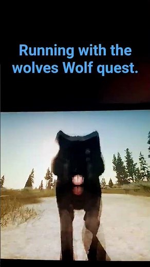 Wolfquest running with the wolves. #wolfs#wolfquest#song