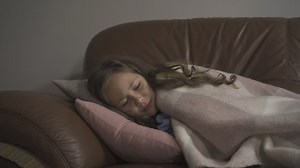 Free Fever Videos: 4K & HD | No Watermark | Download Now