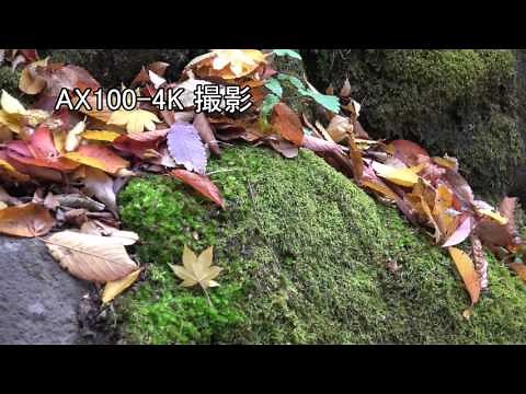 4K 2K の撮影、映像の違いを確認