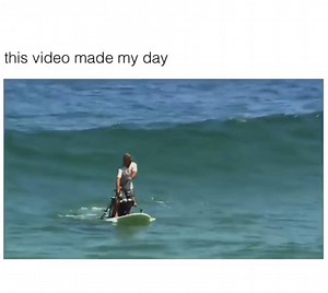 653K views · 8K reactions | Blessing your timeline with the best video on the internet rn  #missguided Shop new in: bit.ly/2WmL3wT | Missguided | Facebook