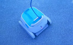 DOLPHIN Proteus DX4 Review (What We Love & HATE)