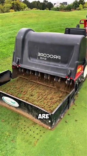 Why Do They Punch Holes in Perfect Grass? 🤯