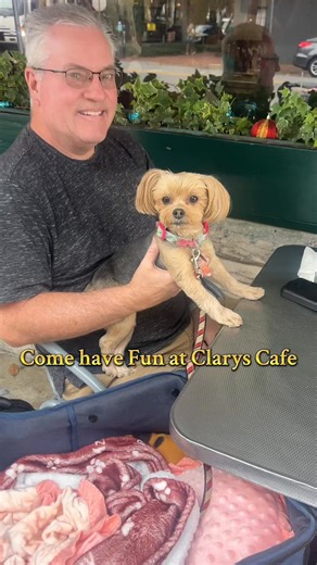 Every job has an element of fun—and for us, it’s the people and the pups who walk through our doors 🐶💚 Clary’s Café is full of joy, laughter, and the sweetest visitors. Come be part of the fun! #ClarysCafe #SavannahGA #SavannahEats #SavannahLocal #VisitSavannah #HistoricSavannah #DogFriendly #DogFriendlySavannah #PetFriendlyPlaces #PupLovers #PupLife #CuteDogs #Pupper #DogMomLife #DogDadLife #ViralVideo #ReelsSavannah #ExplorePage #FYP #TrendingNow #GeorgiaRestaurants #SupportLocal #VisitGeorg
