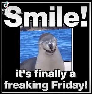 6.6K views · 572 reactions | Happy Friday  | Funny thoughts and jokes. | Facebook