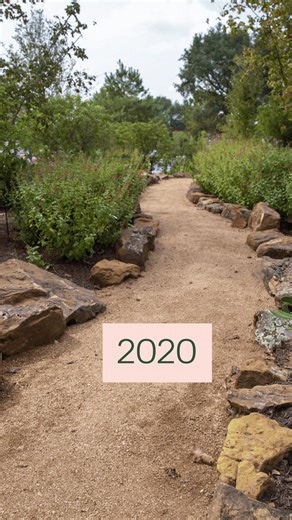 Now is a perfect time to visit Houston's living museum, as we celebrate a milestone and look forward to future growth. | Houston Botanic Garden