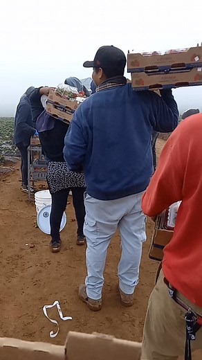 680K views · 3.9K reactions | Quien será esa cachonda 藍 puro cotorreo en Berry Hills S de RL de CV andan todos los influencer hay asta la chilindrina 藍 otro pedo #comparteysigueme #sanquintinbc #Bendiciones #fypviralシ #fypシ | freseros low SQ 616 | Facebook