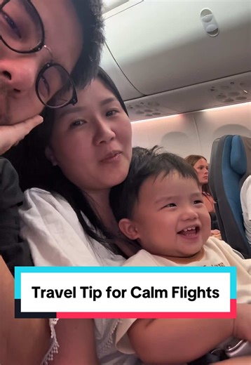 Skip Priority Boarding with Baby: Better Boarding Strategy