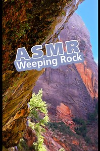POV: You’re enjoying the sights and sounds of the new-and-improved Weeping Rock. After being closed for two years due to a rockfall, our trail crew completed renovations to the Weeping Rock Trail. This team repaired stairways and railings, built new sandstone curbing, and re-paved the trail with traction-textured concrete. Now, it’s re-opened for all to enjoy! Where does all the water come from? As rain and snow settle on the ground, water seeps into the porous Navajo Sandstone below. Eventually