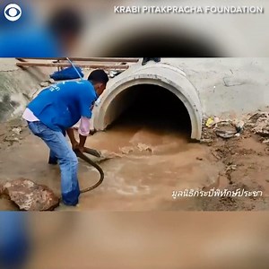36K views · 271 reactions | NOPE NOPE NOPE NOPE! A king cobra slithered into a canal in Thailand. The Krabi Pitakpracha Foundation rescue team said it took around an hour to capture the snake, and that this cobra was about 13 feet long. | azfamily 3TV CBS 5 | Facebook
