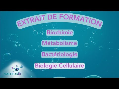 🧬 La PCR : Principe, Applications et Cas d’Usage – Comprenez Tout en Quelques Minutes !