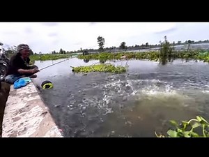 Ngeri!! Tarikannya bikin jantung berdebar,, banjir,,ikan lele di mana mana