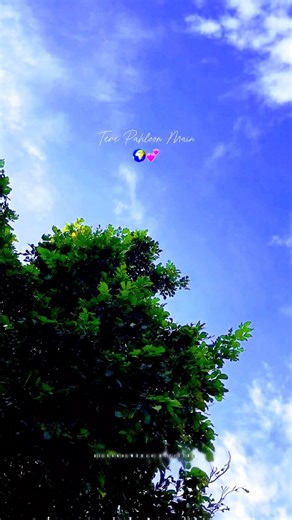 #aesthetic #music #song #shorts #lyrics #lyrics_whatsapp_status