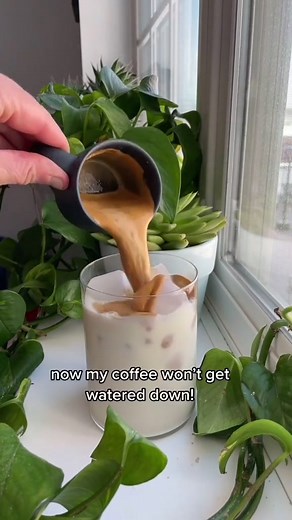 Reusable Ice Cubes - A Fun and Eco-Friendly Alternative!