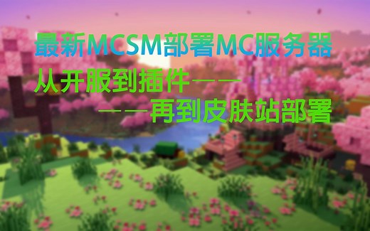 MC服务器连接LittleSkin皮肤站