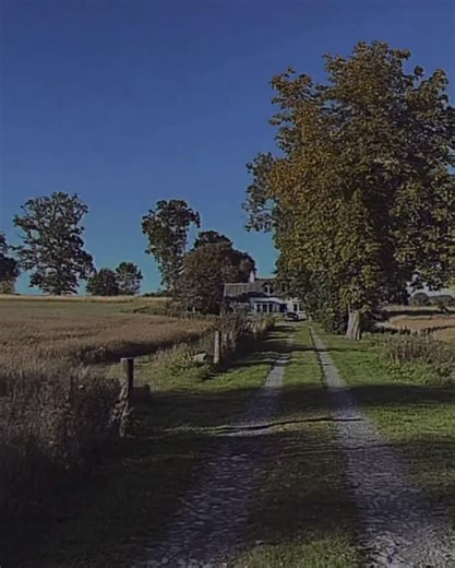 1.9K views · 89 reactions | The album writing process continues - spending a week together in a beautiful undisclosed remote location in Scotland, inspired by the peace and tranquility of the nature that surrounds us. Waking up to the rabbits hopping through the fields, the sound of the birds tweeting, the leaves in the trees rustling… and someone bashing f*ck out of a drum kit in the living room ☀️ Let us know if you want to hear some more audio nibbles | Elephant Sessions | Facebook