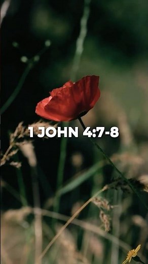 1 John 4:7–8 | God Is Love 👉 #bibleverse #biblereading
