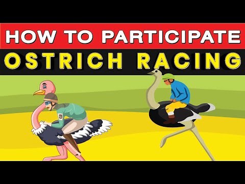 How Do You Play Ostrich Race? (game involves people racing on the backs of ostriches like horses)