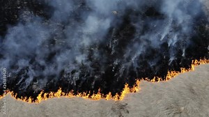 An epic cinematic frame separating the burned earth and untouched grass.Vertical view of burning green hill with high contrast between smoke and burned grass.
