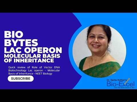 Lac operon | Molecular Basis of Inheritance | Bio Bytes : Quick Revision Lac operon