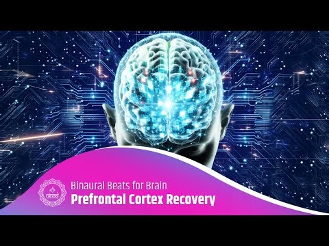 Mind Sharpener: Healing Sounds for Prefrontal Cortex Recovery and Calm | Binaural Beats for Brain